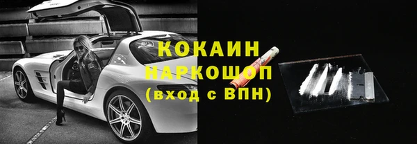 соль ск Алексин